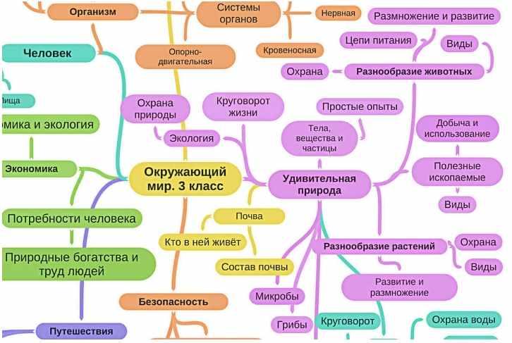 Интеллект карта русский язык 4 класс