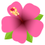 Hibiscus :hibiscus: 🌺