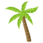 Palm tree :palm_tree: 🌴
