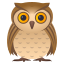 Owl :owl: 🦉