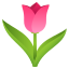 Tulip :tulip: 🌷