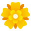 Rosette :rosette: 🏵