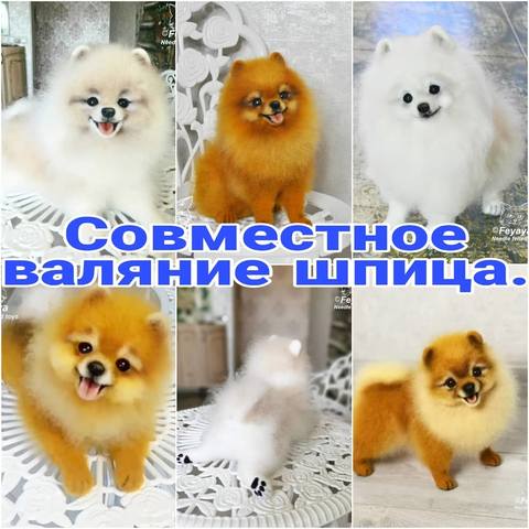 28620467-jpg.376